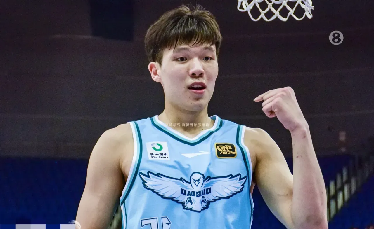 为什么全民都在关注杨瀚森？因为他是姚明未完成的梦想！的简单介绍